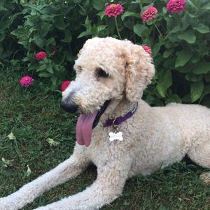 Meet your Posher, Katie